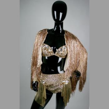 'Pinkprint' Tour Stage Costume