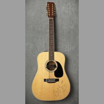Takamine 12-string acoustic