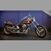 Carlini Cycle Creations Custom Harley Davidson