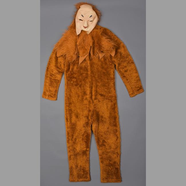 Cowardly Lion costume