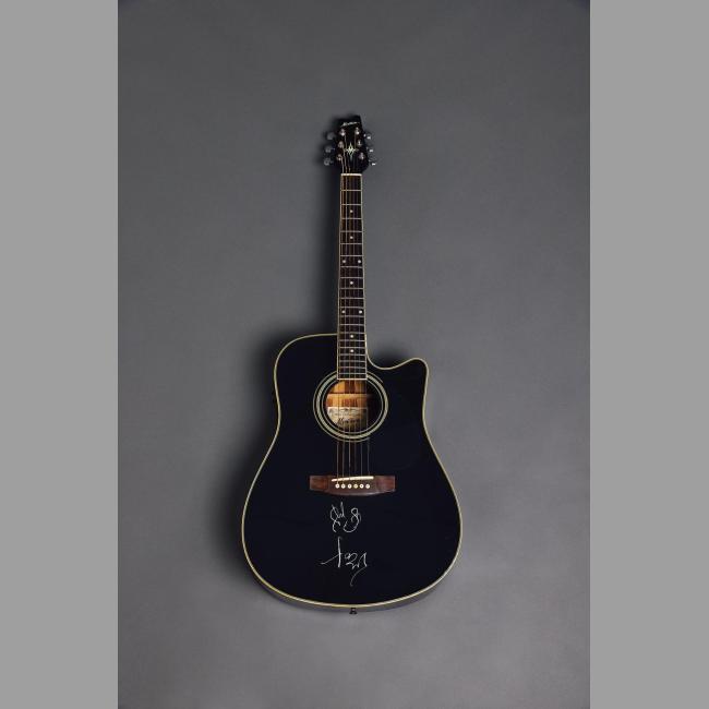Montana Acoustic Guitar