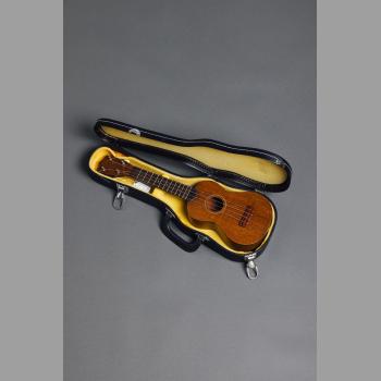 DON MCLEAN'S FIRST STRINGED INSTRUMENT