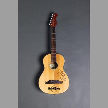 Fender Sonoran Guitar